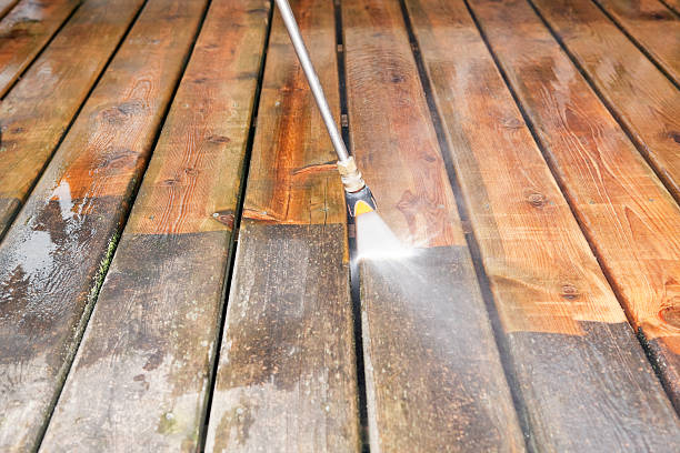 Best Solar Panel Cleaning  in Bay Hill, FL